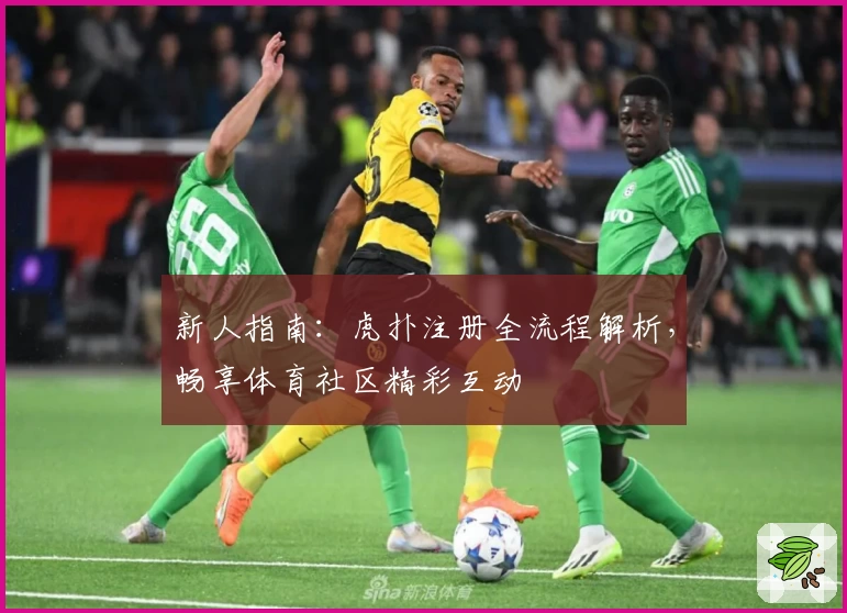 新人指南：虎扑注册全流程解析，畅享体育社区精彩互动