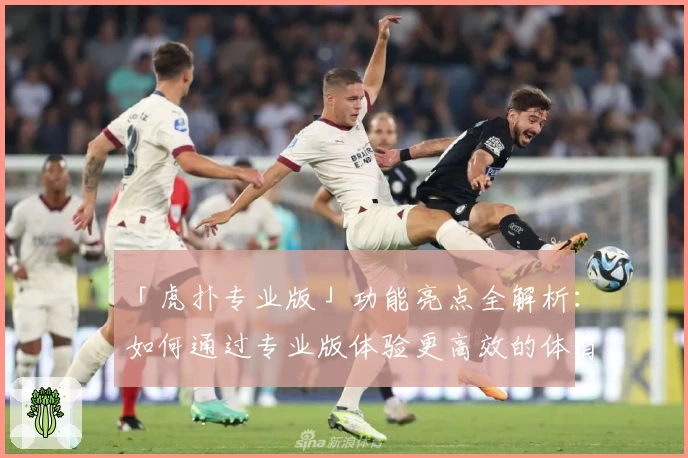 「虎扑专业版」功能亮点全解析：如何通过专业版体验更高效的体育社区互动